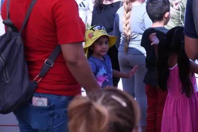 DSC_1968 (Large).JPG